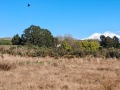 02-Church-and-Mt-Domett