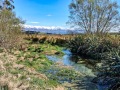 09-Stream-views