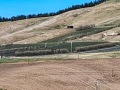 18-Vineyard-and-accommodation
