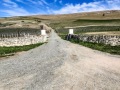 21-Vineyard-entranceway