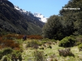 06-DSCN3217