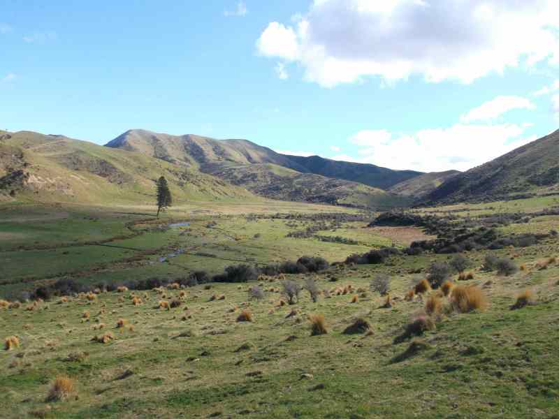 12-Upper-Elephant-Hill-Stream-valley