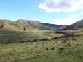 12-Upper-Elephant-Hill-Stream-valley