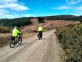 Through the logging area