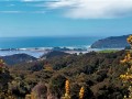 Blueskin Bay from the rough gravel road
