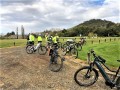 Truby King Reserve Seacliff