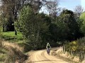 Hard slog on an e bike