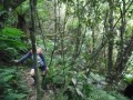 Heading up to Yellow Ridge