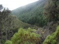 Looking down the valley