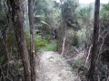 River Track