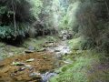 Waikouiti River South Branch