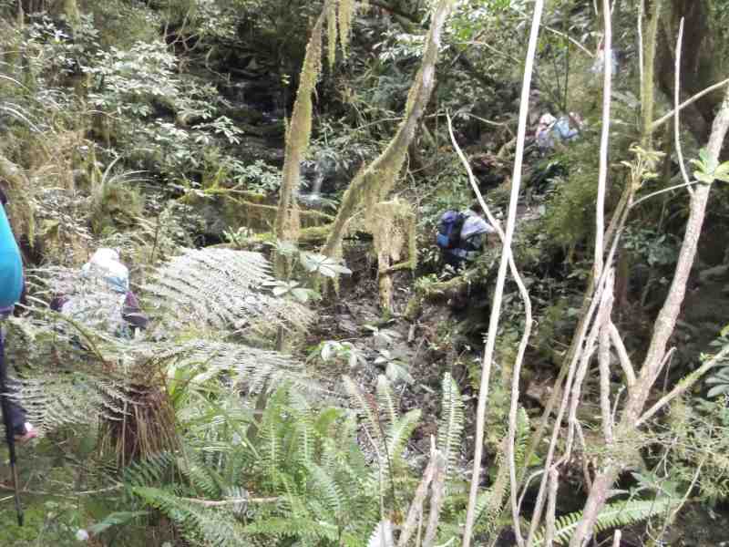 07-Another-stream-crossing