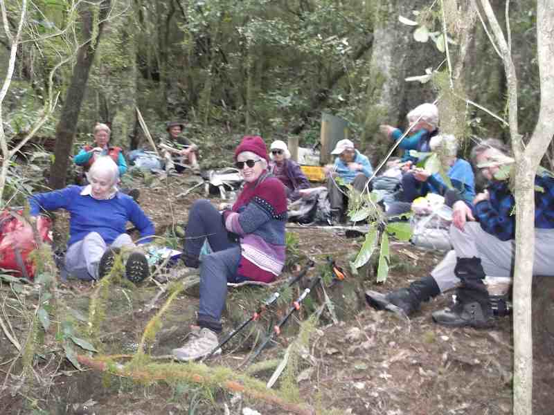 08-Lunch-at-the-Big-Trees