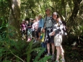 Short walk Group on the Podocarp track