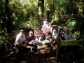 Lunch under the big podocarps