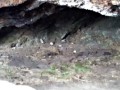 inside-the-cave