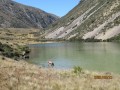Lunch time swim