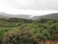 Reserve and long Bay