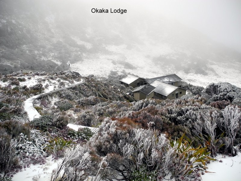 Okaka Lodge