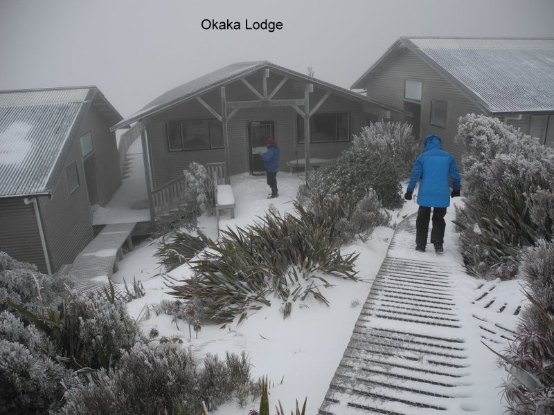 Okaka Lodge