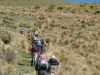4wd track most of the way
