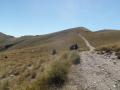 Old-skifield