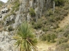 Kakanui River Gorge 6