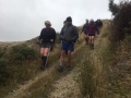 Dropping down to Kuri Creek