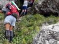 Rock Step in the gut
