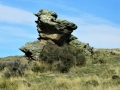 Rock art