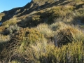 Looking towards Little Mt Peel