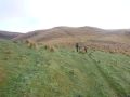 05-Heading-towards-the-ridge