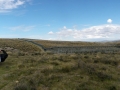 The enclosure