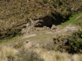 Bonanza Mineshaft