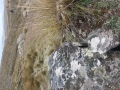 camouflage