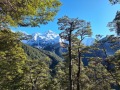 06-Barrier-Range-through-the-trees