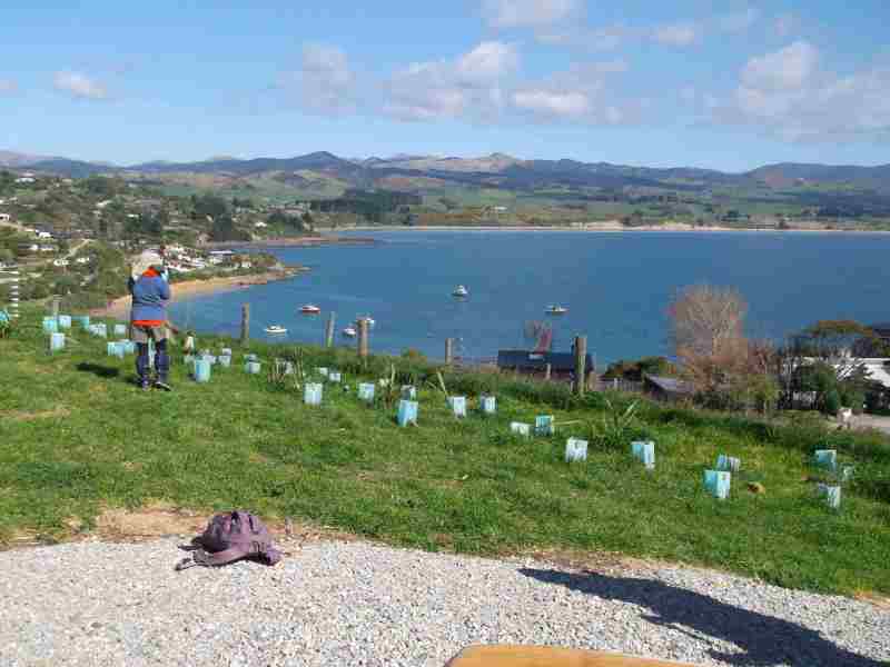 04-Lookout-over-Moeraki