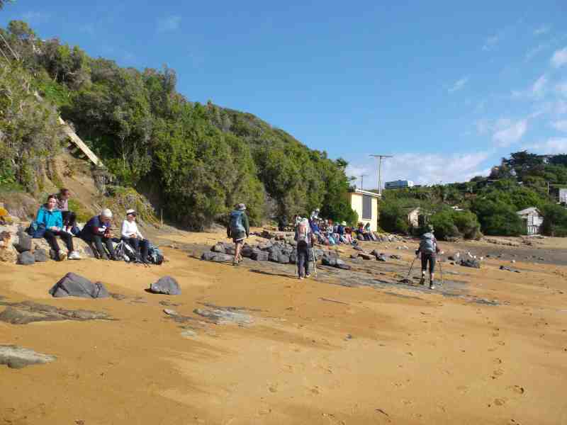08-Lunch-on-the-beach