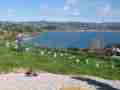 04-Lookout-over-Moeraki