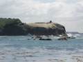 09-Shag-rookery-on-Maukiekie-Island