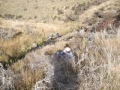 Coming down Siberia Creek