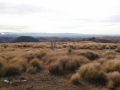 Mt Dasher & Kattothyrst
