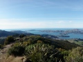Otago Harbour 3