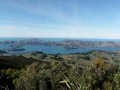 Otago Harbour 2