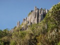 Organ Pipes