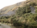 Mackerras_Creek_slate
