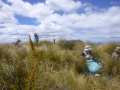 08-Lunch-in-the-tussocks