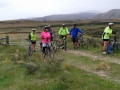 Leaving the road at Shepherds Creek
