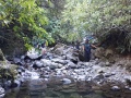 Nimrod Stream