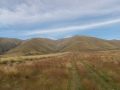 14 Mt Pisgah - up on the right, down on the left